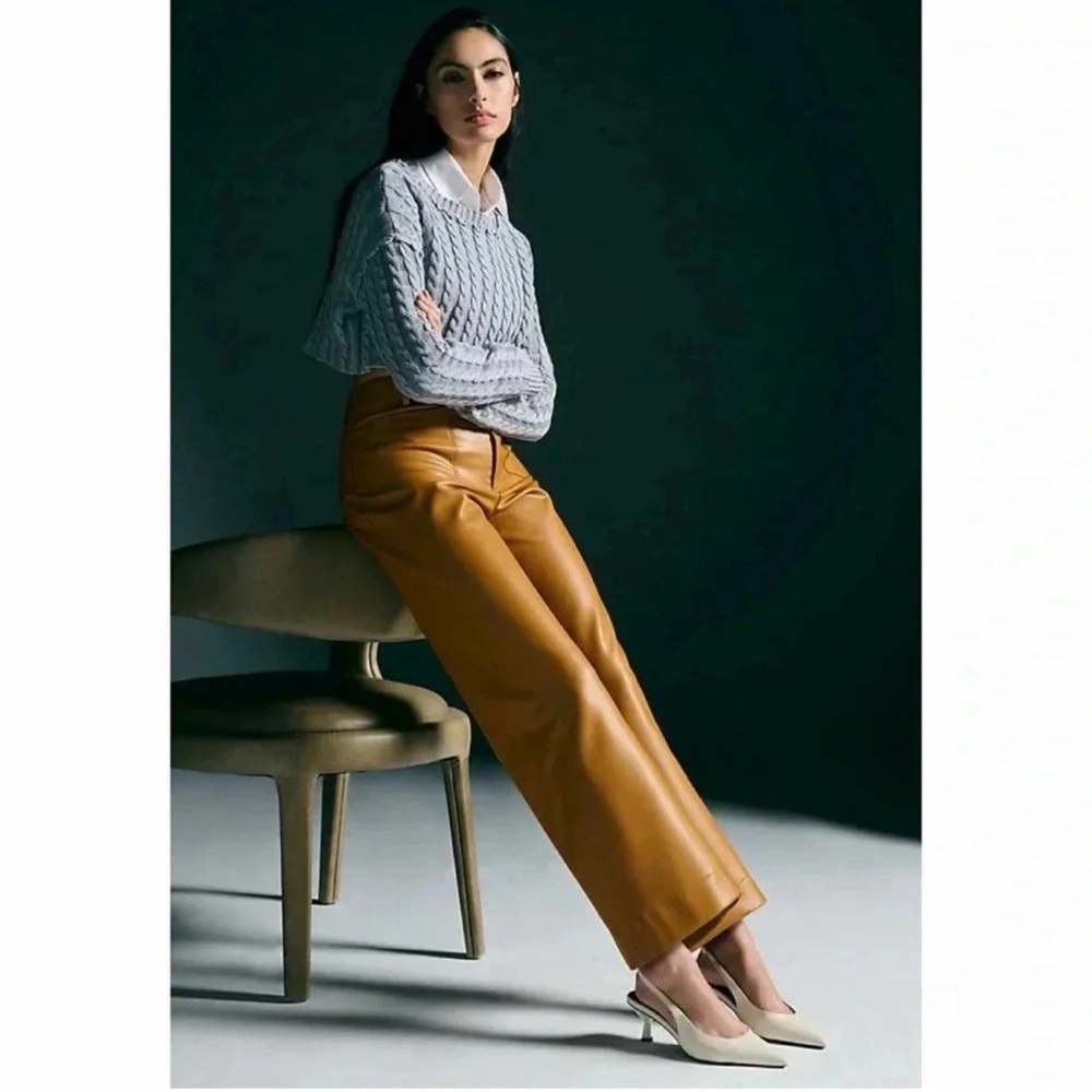 New Anthropologie the Colette faux leather cedar Wide-Leg Pants 28p - Picture 2 of 8